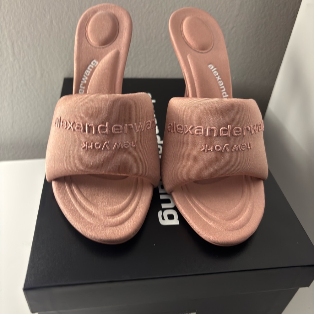 Alexander Wang Blush Slide Sandals